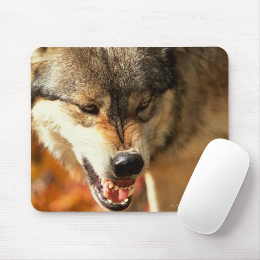 Porträt des Wölfels Mousepad (Mit Mouse)