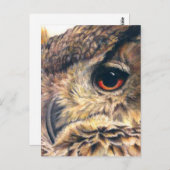 Porträt einer Adlereule Postkarte (Vorne/Hinten)