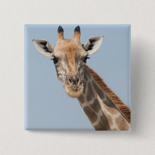 Porträt einer angolanischen Giraffe Button