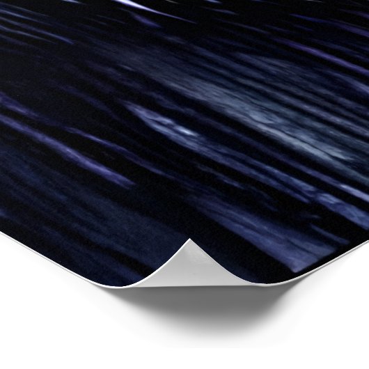 Porträt einer bezaubernden Grenzkollie | Art der A Poster (Ecke)