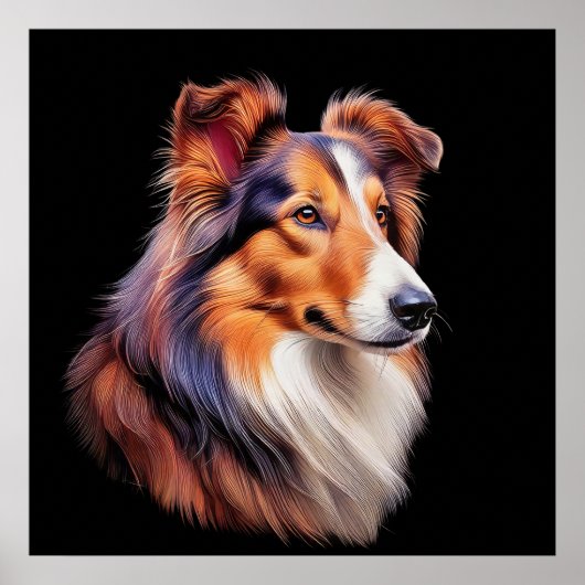 Porträt einer Collie Poster (Vorne)