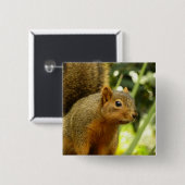 Porträt einer Eichhörnchennaturfotografie Button (Vorne & Hinten)