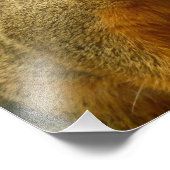 Porträt einer Eichhörnchennaturfotografie Fotodruck (Ecke)