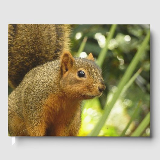 Porträt einer Eichhörnchennaturfotografie Gästebuch (Vorderseite)