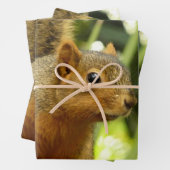 Porträt einer Eichhörnchennaturfotografie Geschenkpapier Set (Beispiel)
