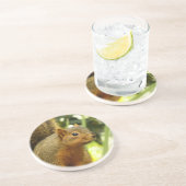 Porträt einer Eichhörnchennaturfotografie Getränkeuntersetzer (Seite)