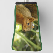 Porträt einer Eichhörnchennaturfotografie Golf Headcover (Rotieren 90)