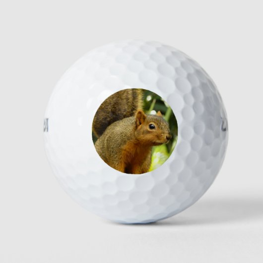 Porträt einer Eichhörnchennaturfotografie Golfball (Vorderseite)