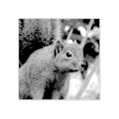 Porträt einer Eichhörnchennaturfotografie Gummistempel (Prägung)