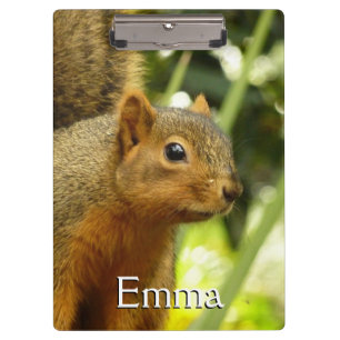 Porträt einer Eichhörnchennaturfotografie Klemmbrett