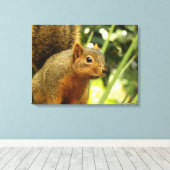 Porträt einer Eichhörnchennaturfotografie Leinwanddruck (Insitu (Holzboden))