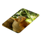 Porträt einer Eichhörnchennaturfotografie Magnet (Linke Seite)