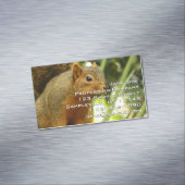 Porträt einer Eichhörnchennaturfotografie Magnetische Visitenkarte (Beispiel)