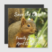 Porträt einer Eichhörnchennaturfotografie Magnetkarte (Vorne/Hinten)