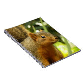 Porträt einer Eichhörnchennaturfotografie Notizblock (Rechte Seite)