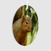 Porträt einer Eichhörnchennaturfotografie Ornament (Vorderseite)