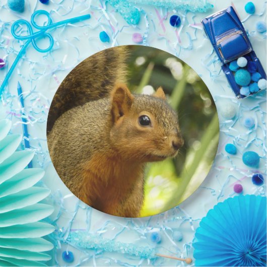 Porträt einer Eichhörnchennaturfotografie Pappteller (Party)