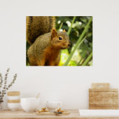 Porträt einer Eichhörnchennaturfotografie Poster (Küche)
