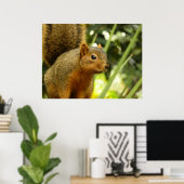 Porträt einer Eichhörnchennaturfotografie Poster (Heimbüro)