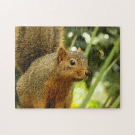 Porträt einer Eichhörnchennaturfotografie Puzzle
