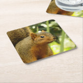 Porträt einer Eichhörnchennaturfotografie Rechteckiger Pappuntersetzer (angewinkelt)