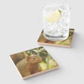 Porträt einer Eichhörnchennaturfotografie Steinuntersetzer (Seitenansicht)