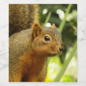 Porträt einer Eichhörnchennaturfotografie Weinetikett (Einzelnes Label)