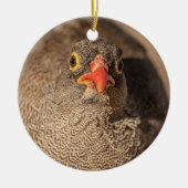 Porträt einer Grouse Keramik Ornament (Vorne)