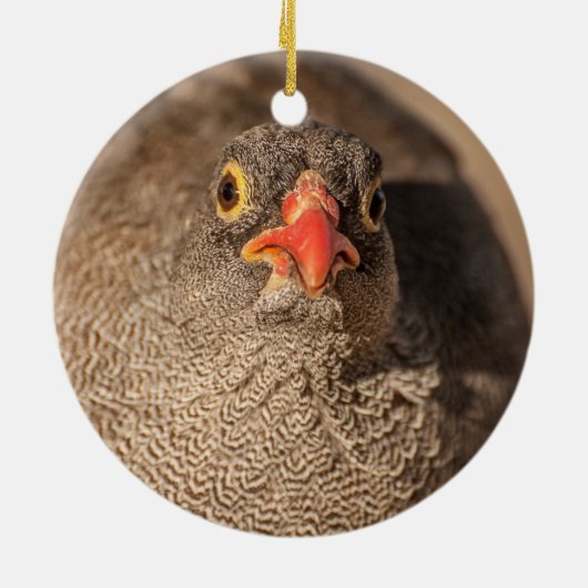 Porträt einer Grouse Keramik Ornament (Hinten)