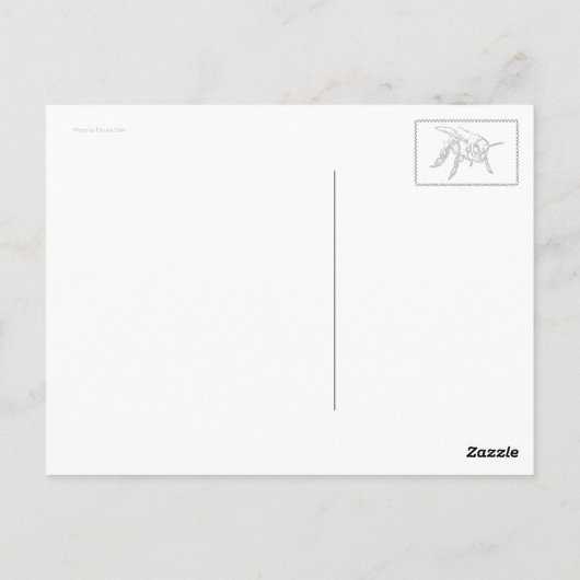 Porträt einer Honig-Biene Postkarte (Rückseite)