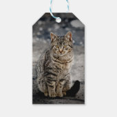 Porträt einer Katze Geschenkanhänger (Vorderseite)