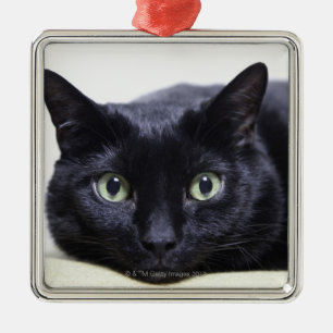 Porträt einer Katze Silbernes Ornament