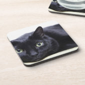 Porträt einer Katze Untersetzer (Linke Seite)