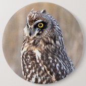Porträt einer Kurzen Eule Button (Vorderseite)