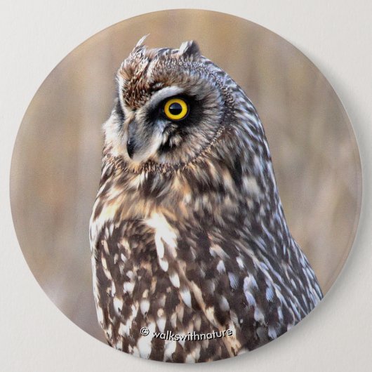 Porträt einer Kurzen Eule Button (Vorderseite)