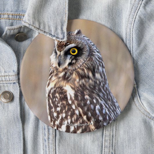 Porträt einer Kurzen Eule Button (Beispiel)