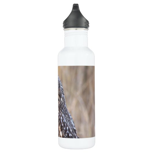 Porträt einer Kurzen Eule in den Marschen Edelstahlflasche (Rechts)