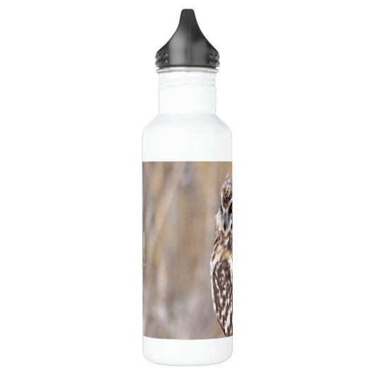 Porträt einer Kurzen Eule in den Marschen Edelstahlflasche (Links)