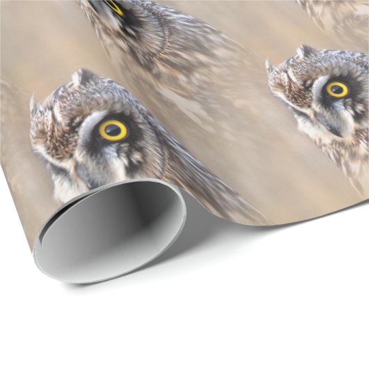 Porträt einer Kurzen Eule in den Marschen Geschenkpapier (Rolleneckpunkt)