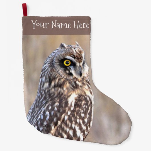 Porträt einer Kurzen Eule in den Marschen Großer Weihnachtsstrumpf (Vorderseite)