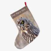 Porträt einer Kurzen Eule in den Marschen Großer Weihnachtsstrumpf (Rückseite (Hängend))