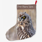 Porträt einer Kurzen Eule in den Marschen Großer Weihnachtsstrumpf (Rückseite)