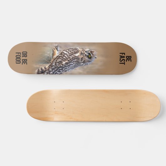 Porträt einer Kurzen Eule in den Marschen Skateboard (Horizontal)