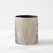 Porträt einer Kurzen Eule in den Marschen Tasse (Zentrum)
