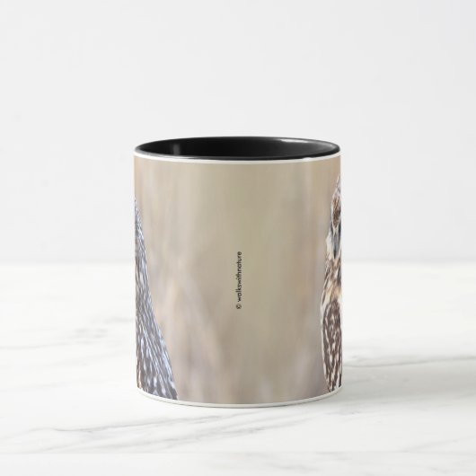 Porträt einer Kurzen Eule in den Marschen Tasse (Zentrum)