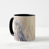 Porträt einer Kurzen Eule in den Marschen Tasse (Vorderseite Links)