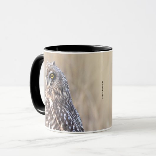 Porträt einer Kurzen Eule in den Marschen Tasse (Vorderseite Links)