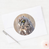 Porträt einer Kurzen Eule Runder Aufkleber (Umschlag)