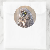 Porträt einer Kurzen Eule Runder Aufkleber (Tasche)