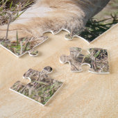 Porträt einer Lioness Puzzle (Seite)